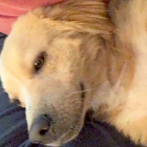 Meet your Posher, Ethan